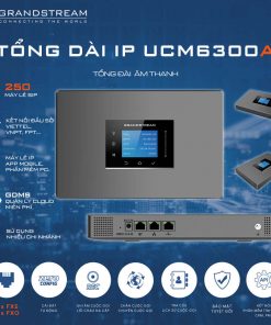 Tổng Đài IP Grandstream UCM6300A